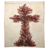 Antique Pressed Seaweed Specimen Large Cross,  c. 1850s