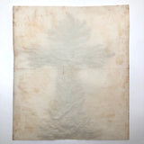 Antique Pressed Seaweed Specimen Large Cross,  c. 1850s