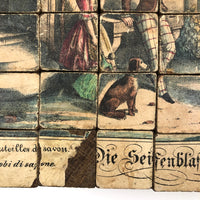 Early, Rare German Litho Six Sided Wooden Block Puzzle
