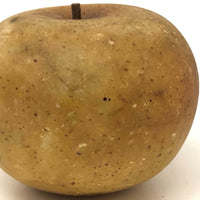 Great Old Stone Fruit Bruised Golden Apple