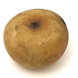 Great Old Stone Fruit Bruised Golden Apple