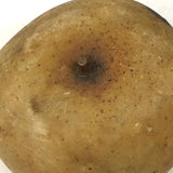 Great Old Stone Fruit Bruised Golden Apple
