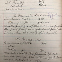 Antique Hospital Pharmacist's Notebook with Many Remedy Recipes!