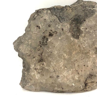 Fossil Face!