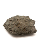 Fossil Face!