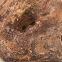SOLD Handsome Presumed English Hand-carved White Pigeon Decoy on Burl