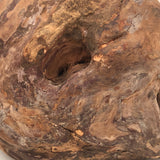 SOLD Handsome Presumed English Hand-carved White Pigeon Decoy on Burl