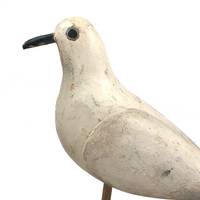 SOLD Handsome Presumed English Hand-carved White Pigeon Decoy on Burl