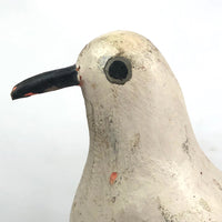 SOLD Handsome Presumed English Hand-carved White Pigeon Decoy on Burl