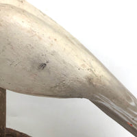 SOLD Handsome Presumed English Hand-carved White Pigeon Decoy on Burl