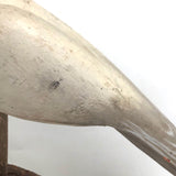 SOLD Handsome Presumed English Hand-carved White Pigeon Decoy on Burl