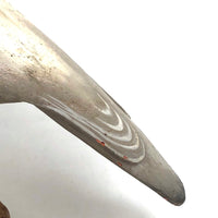SOLD Handsome Presumed English Hand-carved White Pigeon Decoy on Burl