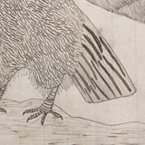 Wonderful Circa 1860s Ink Drawing of Towering Eagle in Period Frame