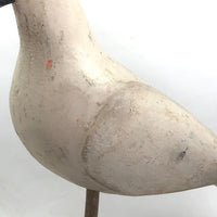 SOLD Handsome Presumed English Hand-carved White Pigeon Decoy on Burl