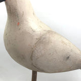 SOLD Handsome Presumed English Hand-carved White Pigeon Decoy on Burl