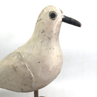 SOLD Handsome Presumed English Hand-carved White Pigeon Decoy on Burl