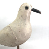 SOLD Handsome Presumed English Hand-carved White Pigeon Decoy on Burl