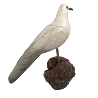 SOLD Handsome Presumed English Hand-carved White Pigeon Decoy on Burl