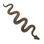 Cool Old Green Striped Snake